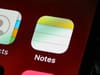 Dein ultimativer Guide zu digitalen Notizen: So findest du dein perfektes System